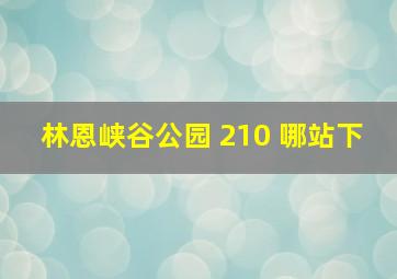 林恩峡谷公园 210 哪站下